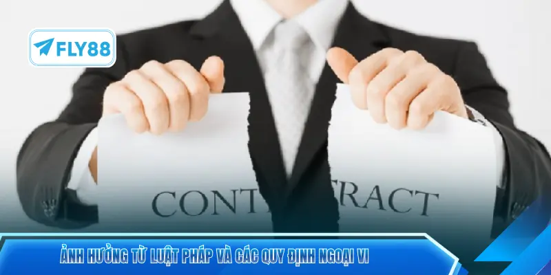 Ảnh hưởng từ luật pháp và các quy định ngoại vi