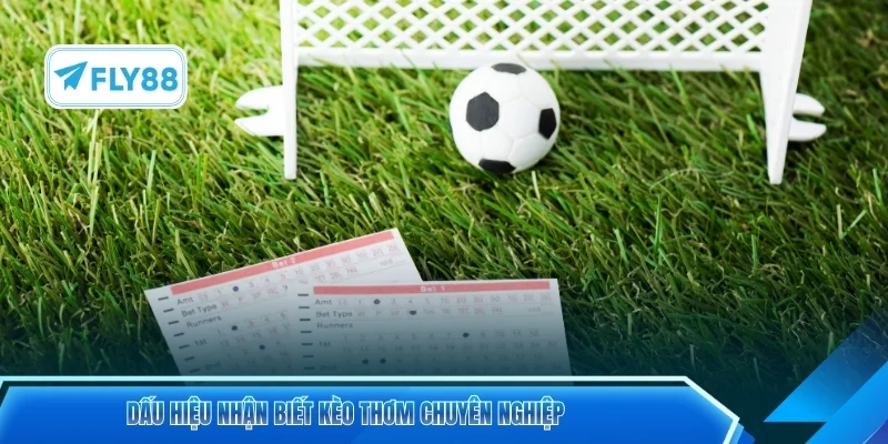 Dấu hiệu nhận biết kèo thơm chuyên nghiệp