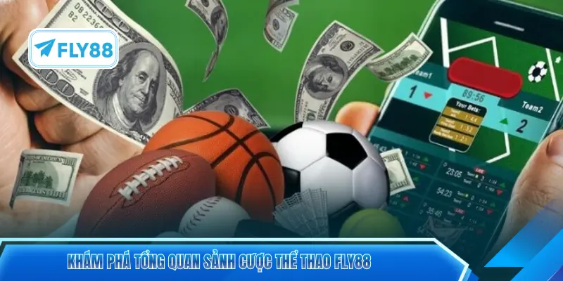 Khám phá tổng quan sảnh cược thể thao FLY88