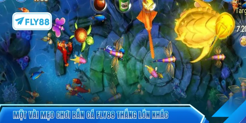 Một vài mẹo chơi bắn cá FLY88 thắng lớn khác