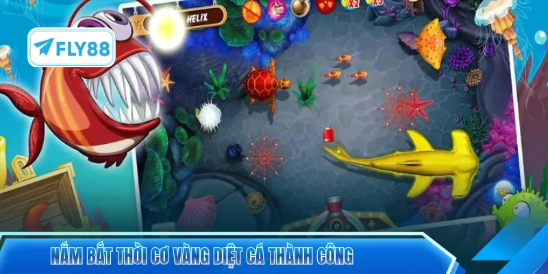 Nắm bắt thời cơ vàng diệt cá thành công