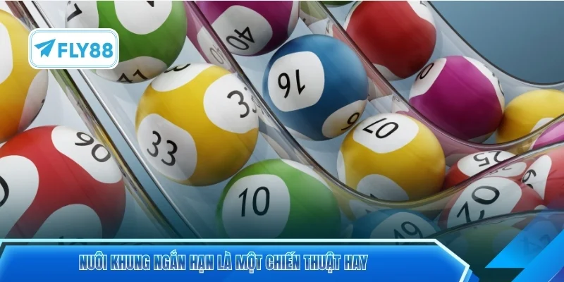 Nuôi khung ngắn hạn là một chiến thuật hay