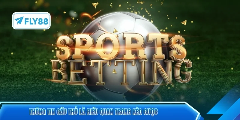 Thông tin cầu thủ là điều quan trong kèo cược