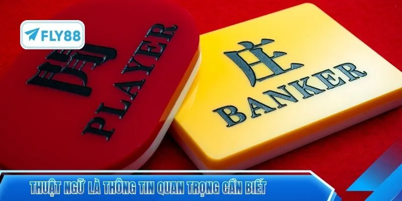 Thuật ngữ là thông tin quan trọng cần biết