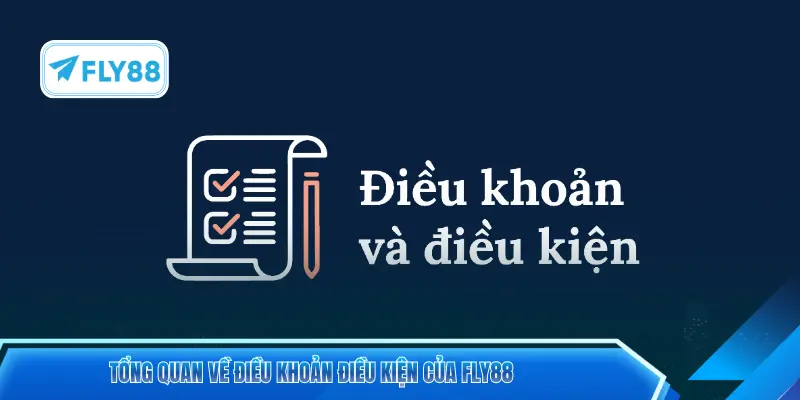 Tổng quan về điều khoản điều kiện của FLY88
